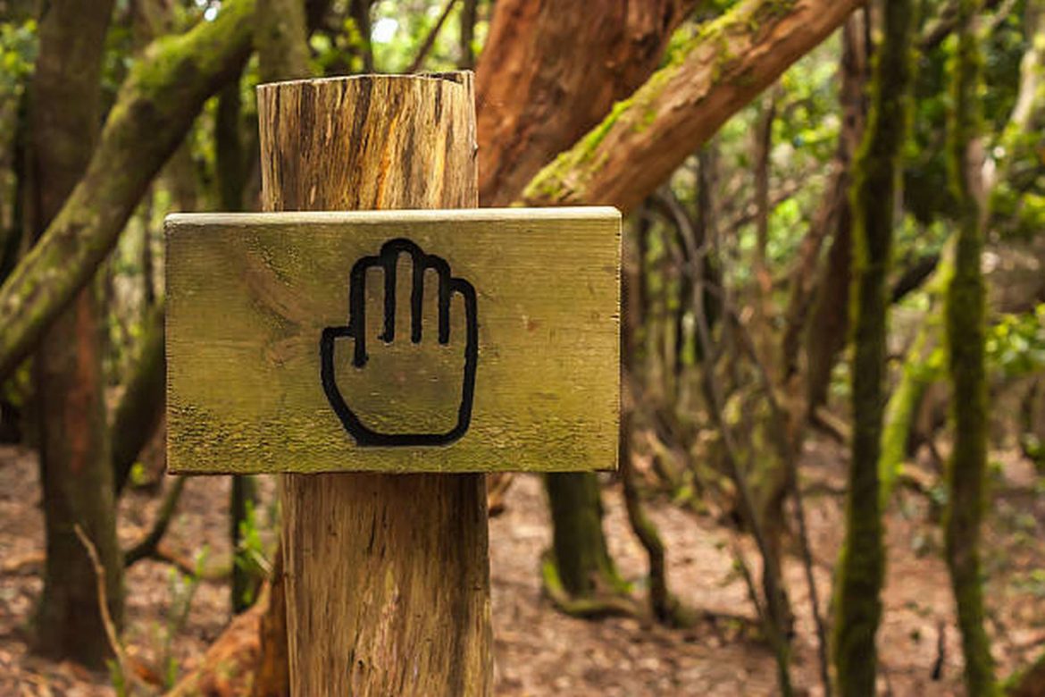 Erdőlátogatási korlátozások a téli társas vadászatok idején 2022. január 01 – 31-ig