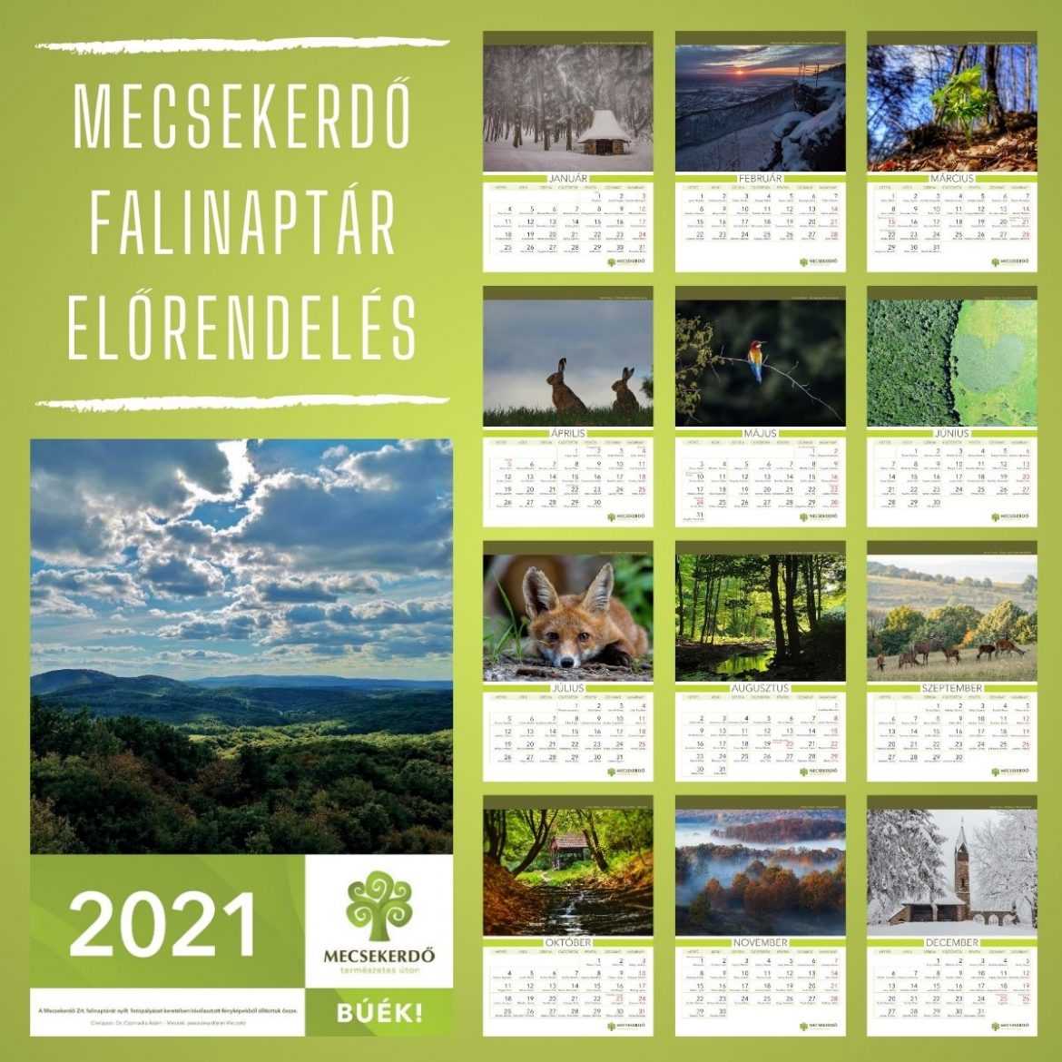 Megrendelhető a Mecsekerdő 2021-es falinaptára