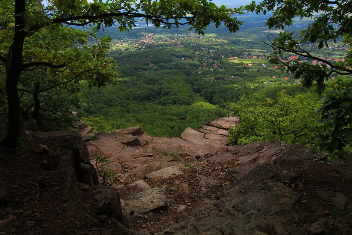 Ősbükkösöktől az Ős-Dráváig – A baranyai erdők csodái