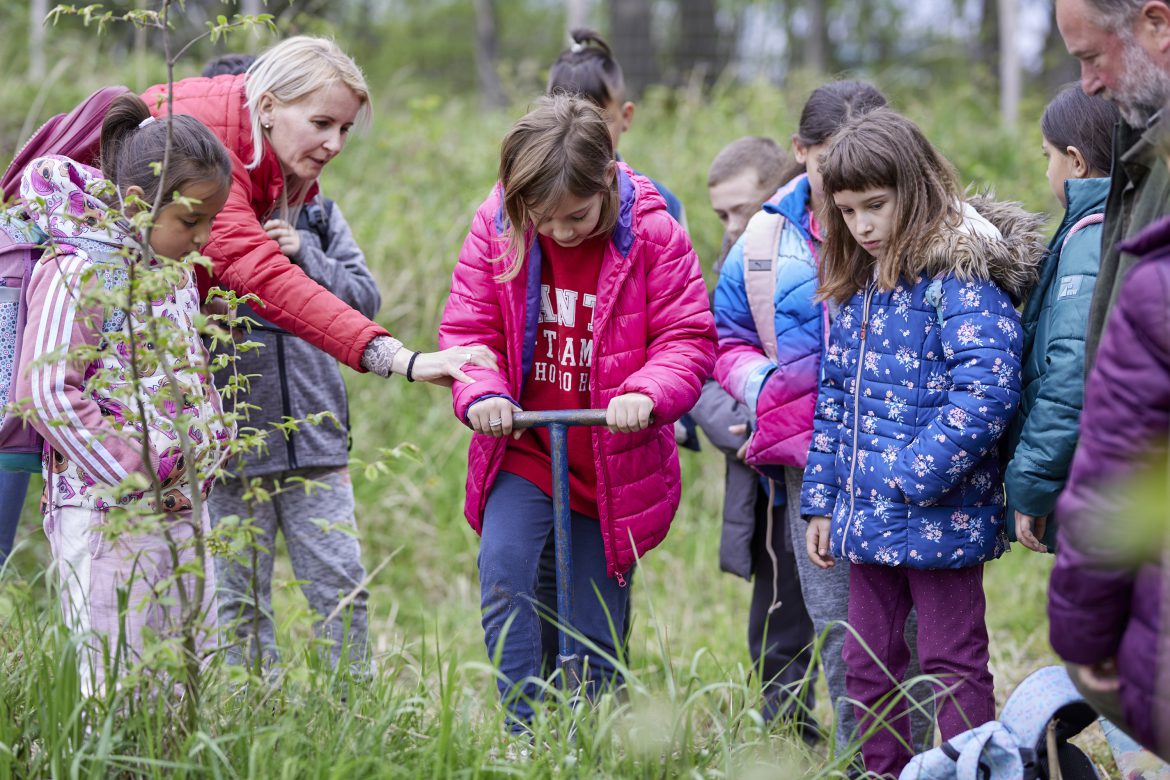 A BuszRent erdősítési programmal tesz a fenntartható környezetért