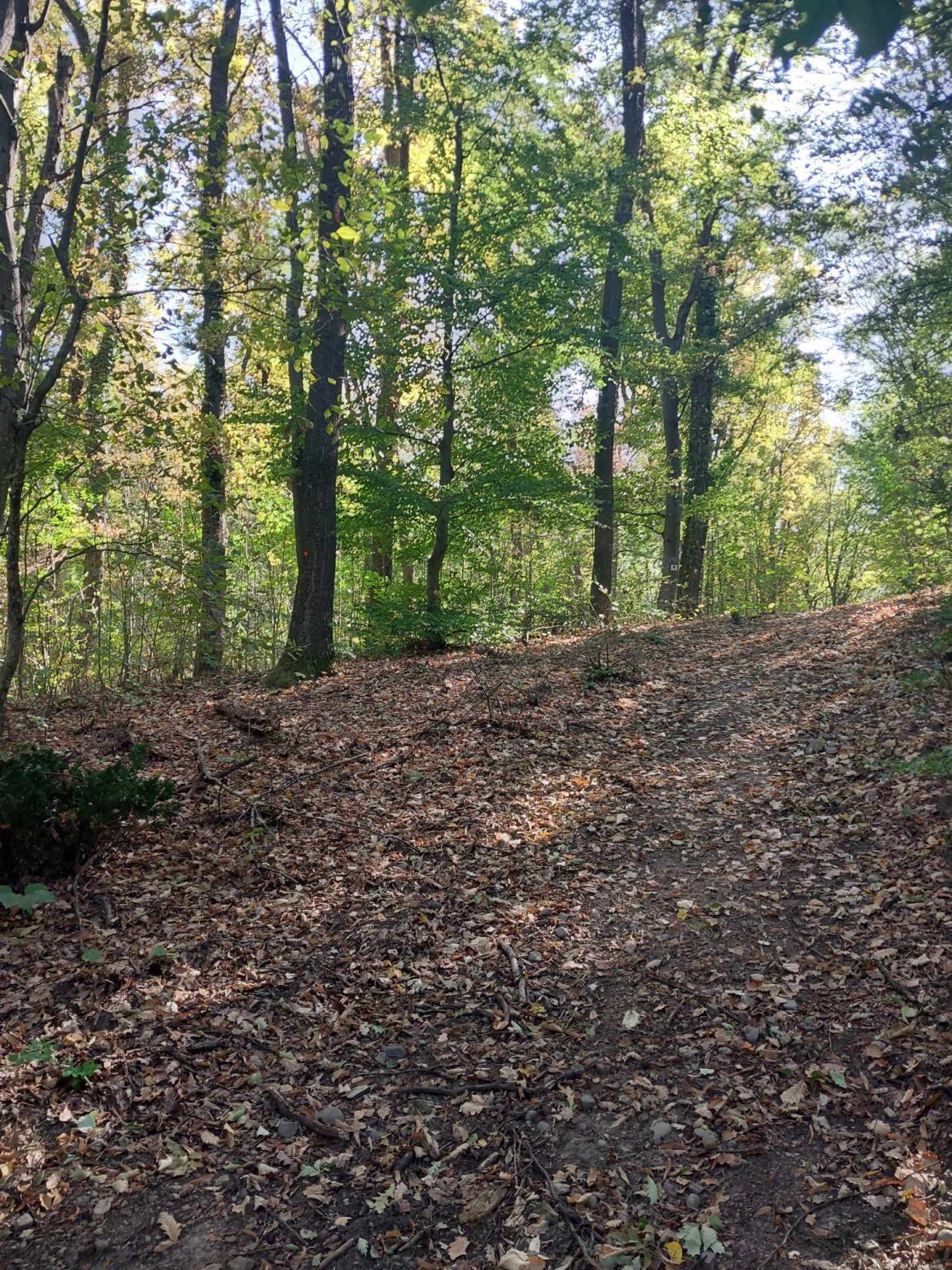 Túraútvonal terelés