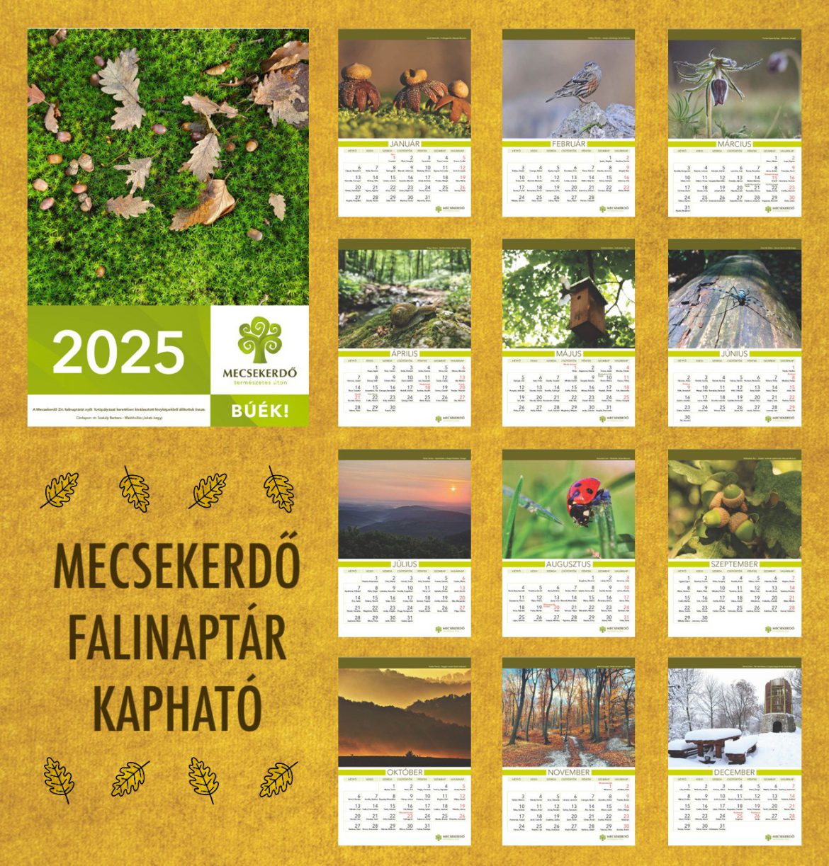 falinaptár_kapható_fin2 Megvásárolható a Mecsekerdő 2025-ös falinaptára
