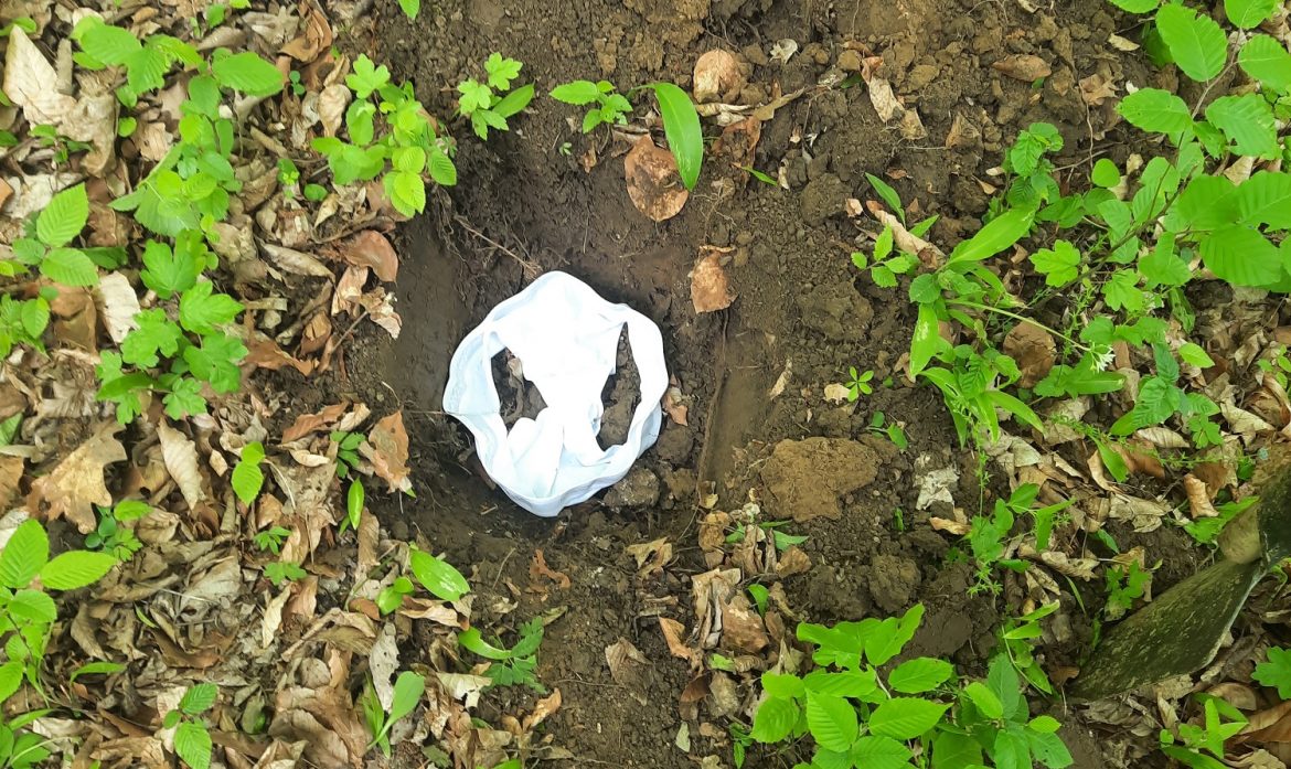 Alsóban az élet – Most kiderülhet, mennyire egészséges a baranyai erdők talaja