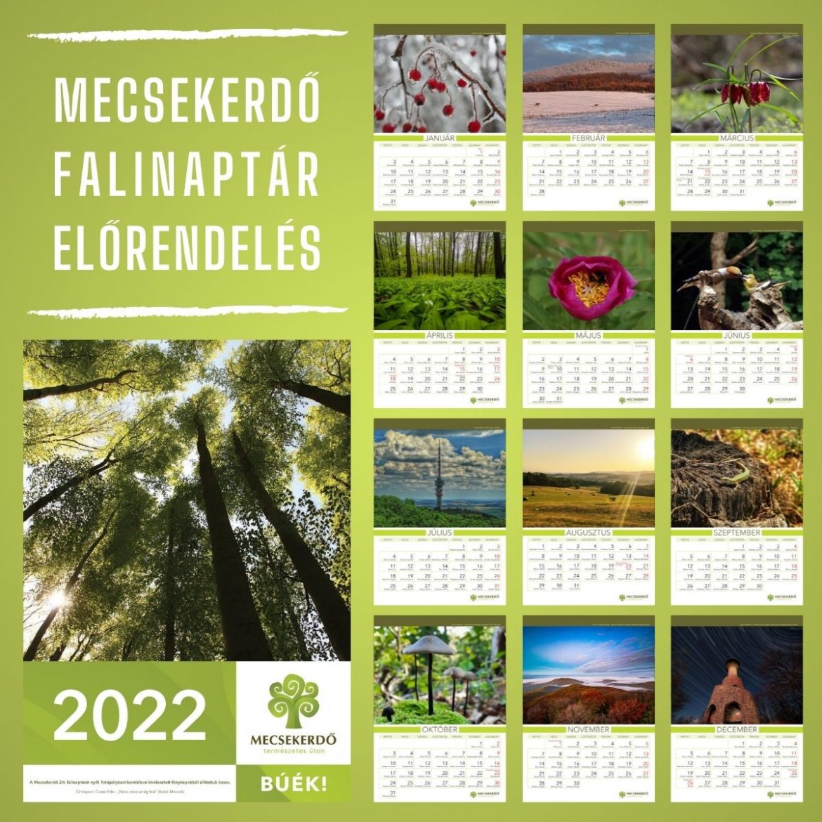 Megrendelhető a Mecsekerdő 2022-es falinaptára