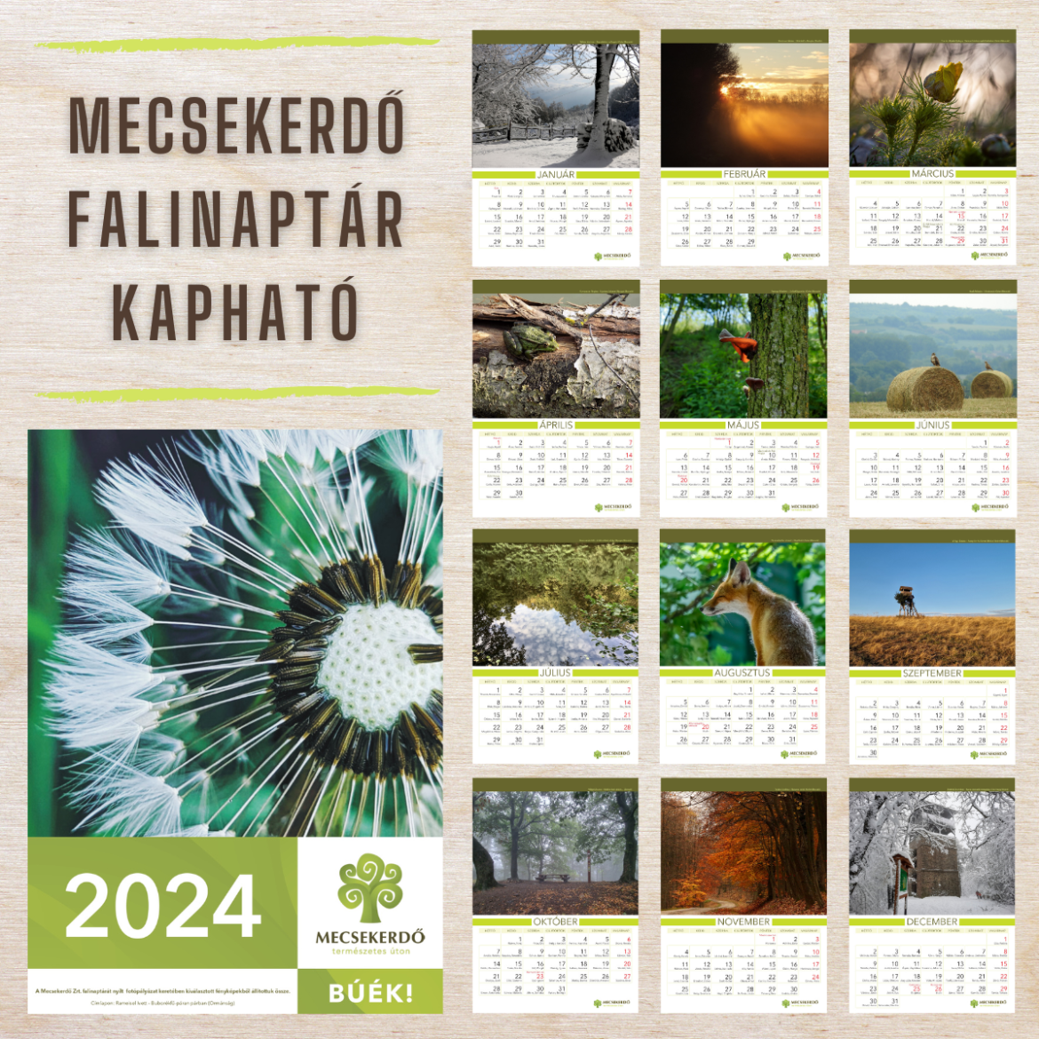 Megvásárolható a Mecsekerdő 2024-es falinaptára