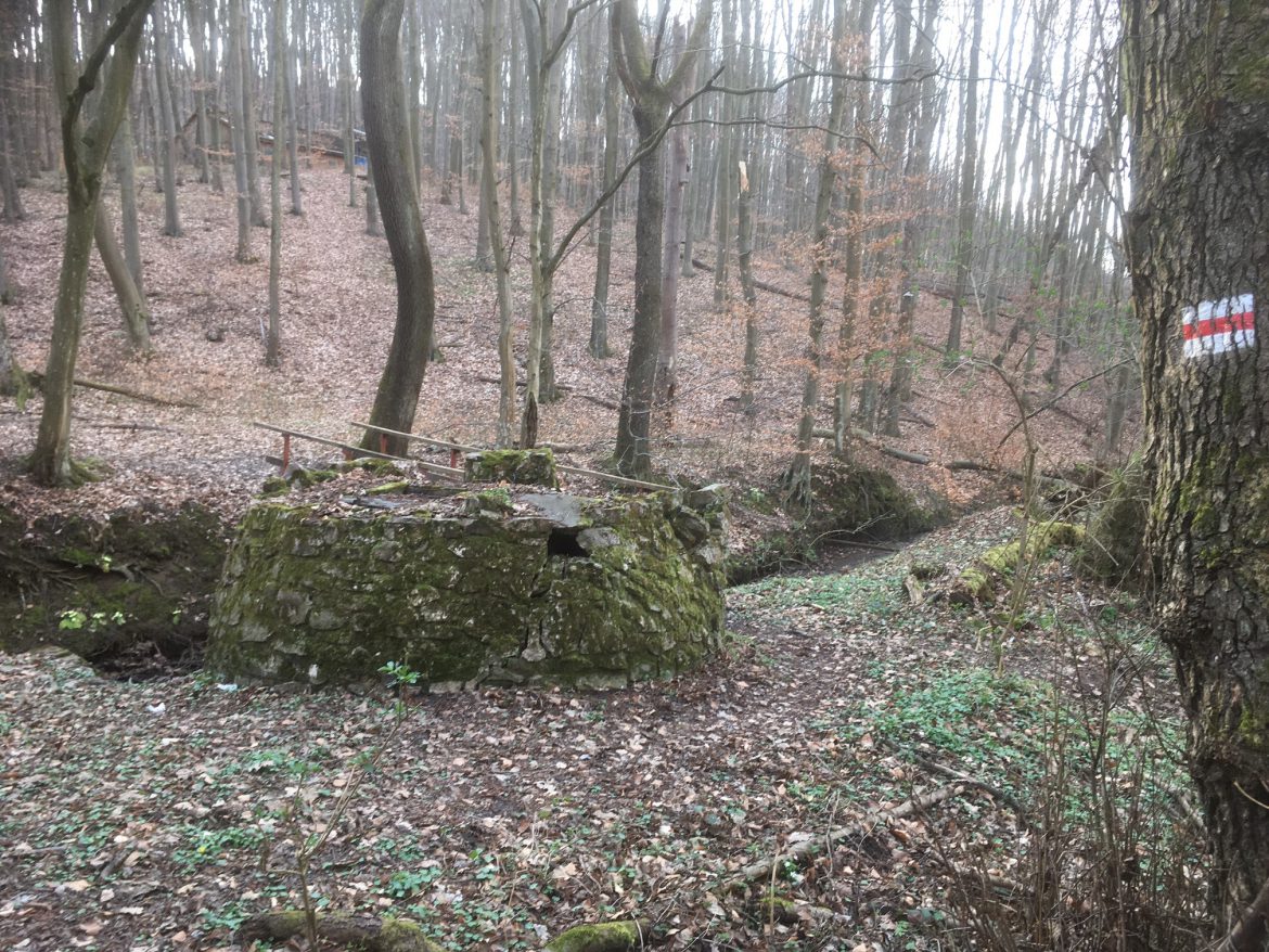 Magyaregregy Időszakos turistaút lezárás a Kelet-Mecsekben