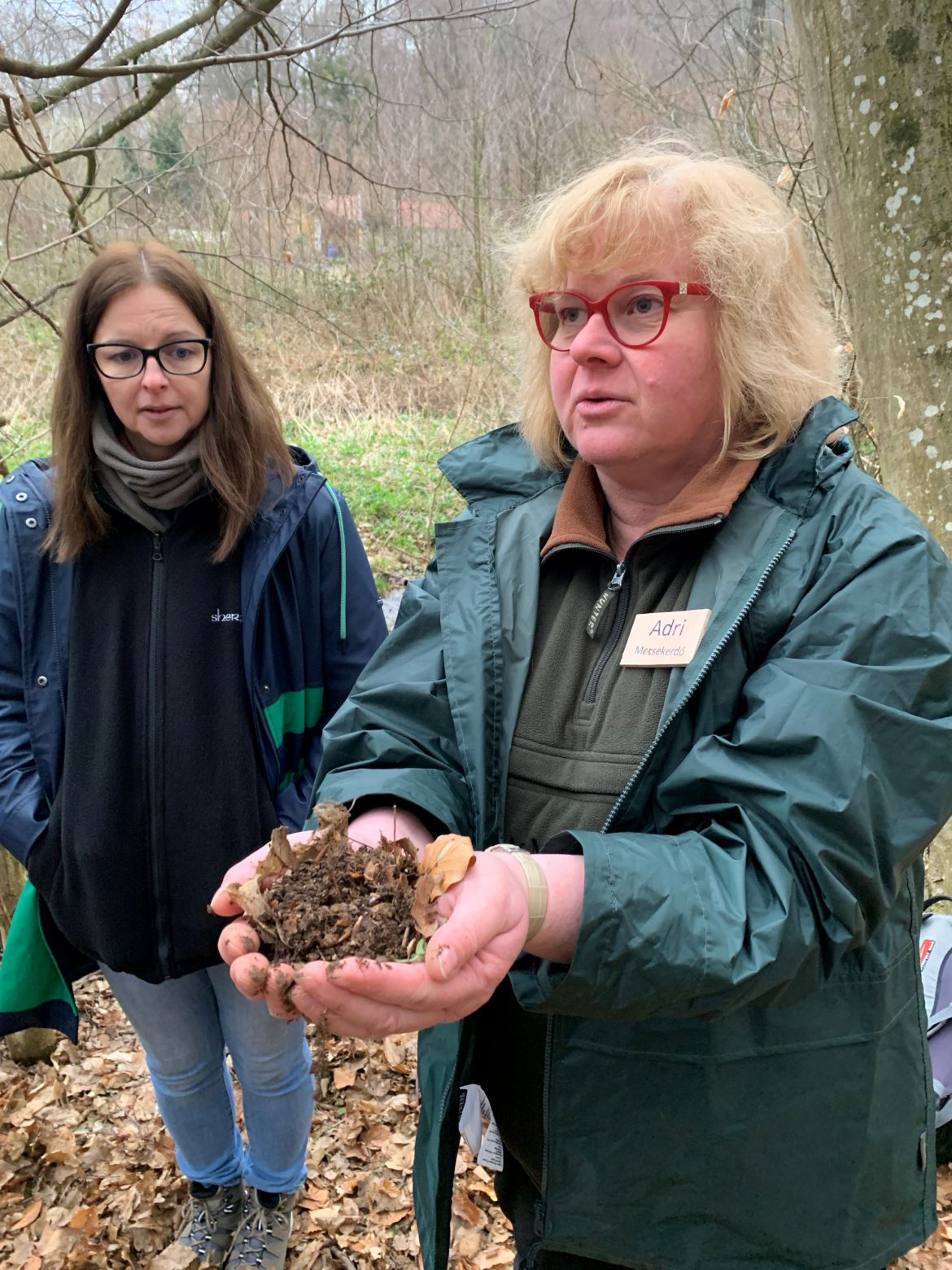 Az erdei iskolában az erdő egy olyan hely, ahol a világ egységes egésszé áll össze