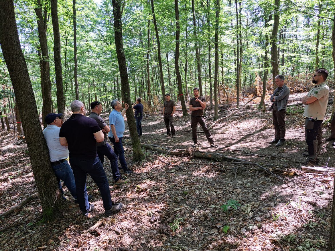 Török szakmai delegáció a Mecsekerdőnél