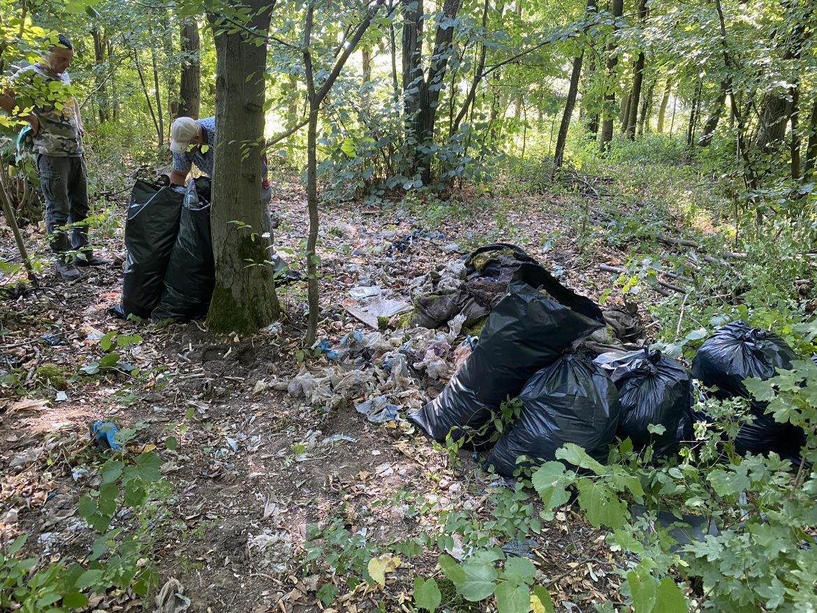 Tisztítsuk meg az országot II.!