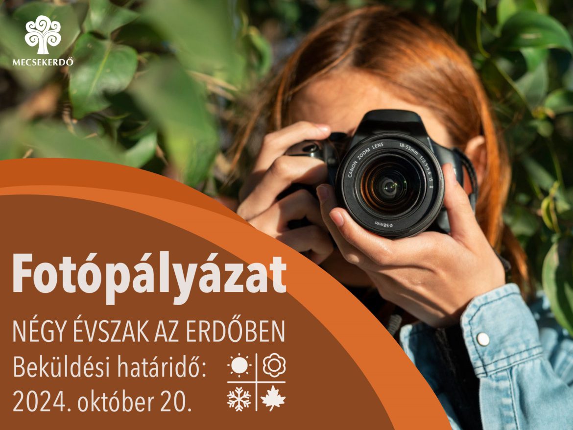 Fotópályázatot hirdet a Mecsekerdő!