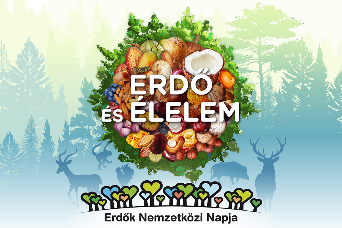 IDF25 thumbnail 600x400px – HU Az Erdők Nemzetközi Napja – március 21.