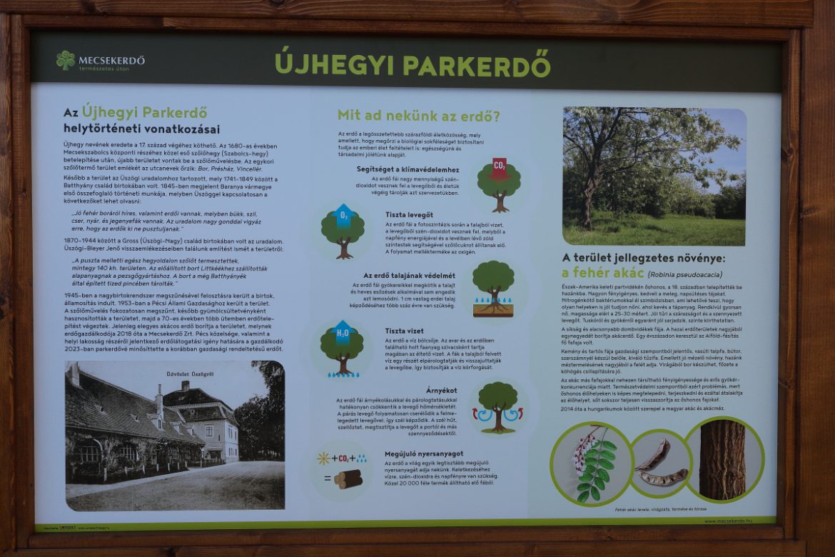 Újhegyi Parkerdő – új pihenőövezet Pécs határában