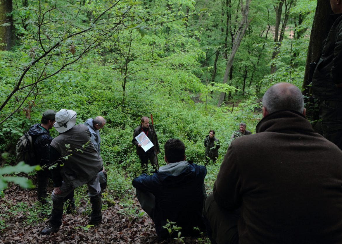 Fenntartható erdőgazdálkodás és klímavédelem: sikeresen zárult a Pro Silva Hungaria szakmai nagyrendezvénye