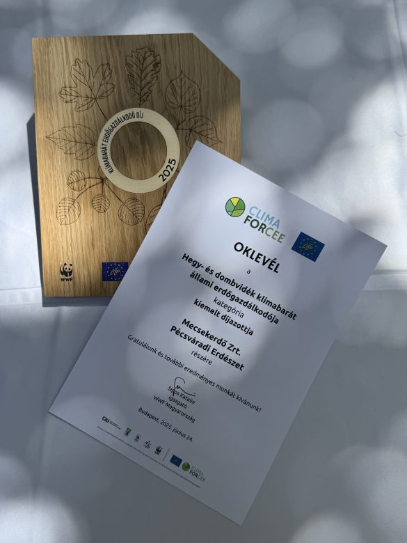 A Mecsekerdő Zrt. a WWF „Klímabarát erdőgazdálkodó” pályázatának egyik díjazottja