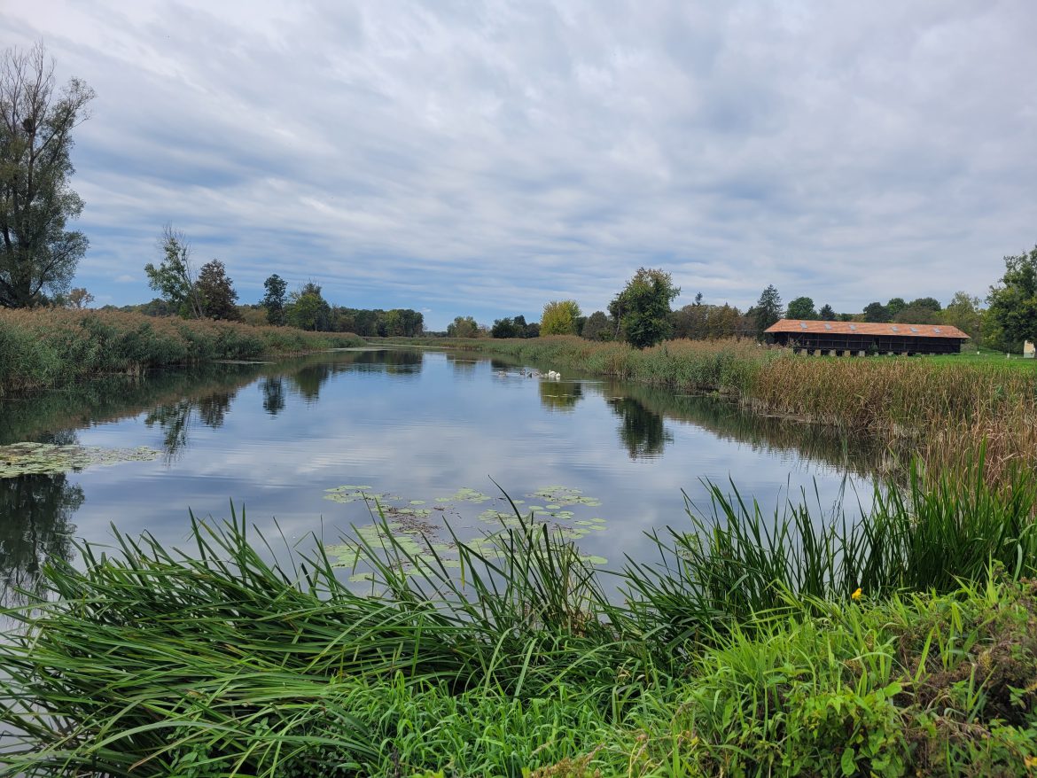 A víz útja – vízpótlási lehetőségek a Dráva síkon