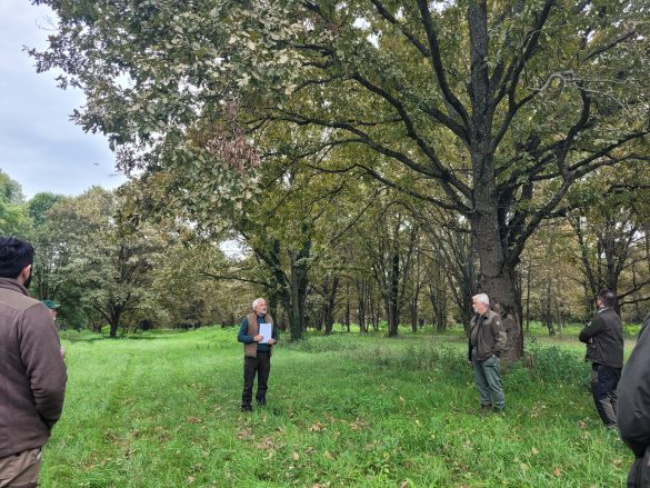 A víz útja – vízpótlási lehetőségek a Dráva síkon