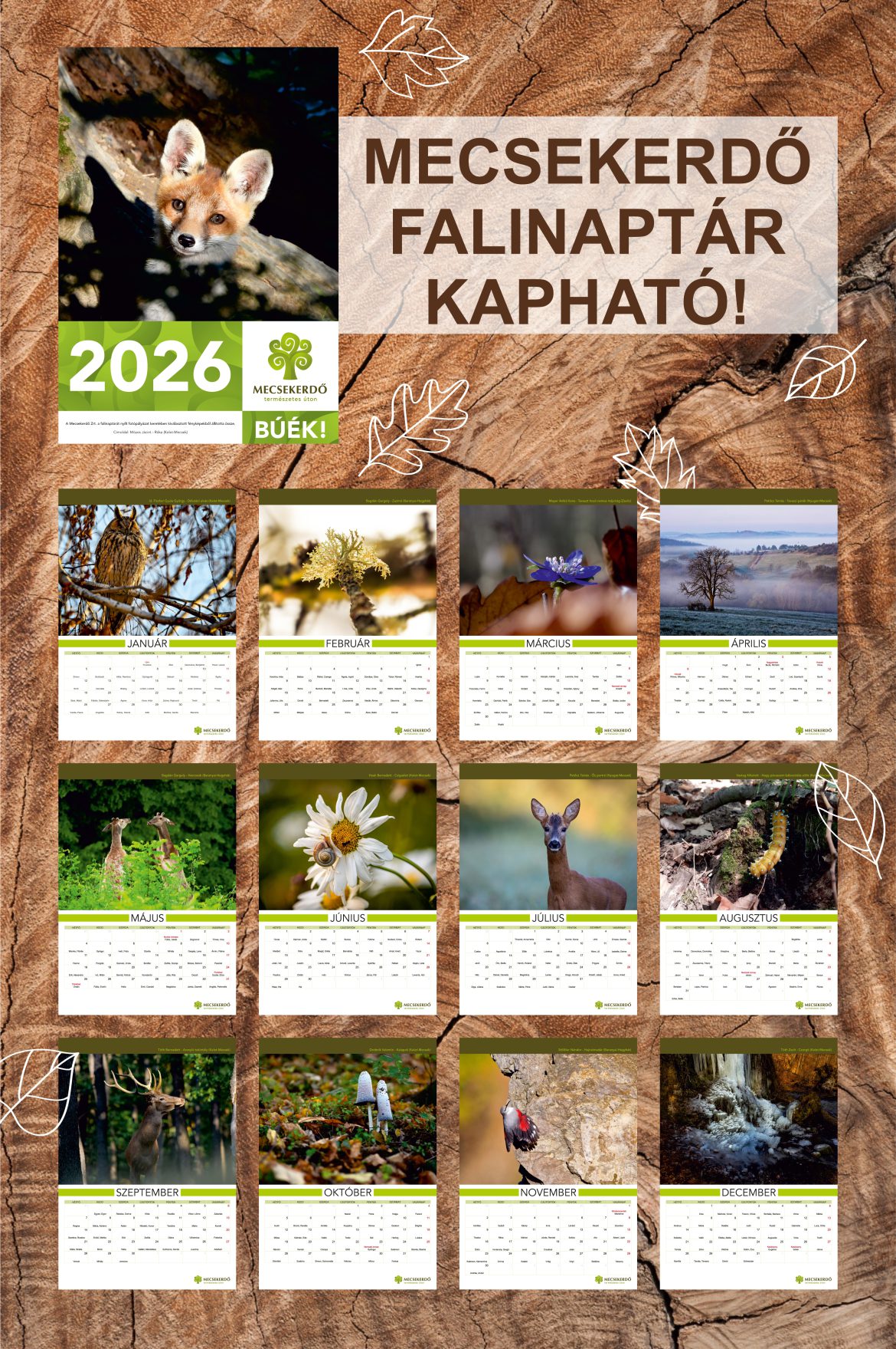 Megvásárolható a Mecsekerdő 2026-os falinaptára