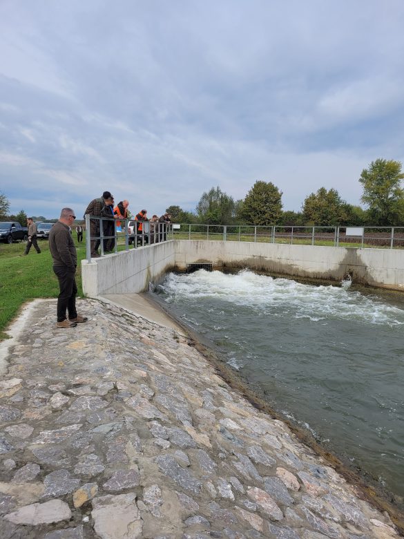 A víz útja – vízpótlási lehetőségek a Dráva síkon