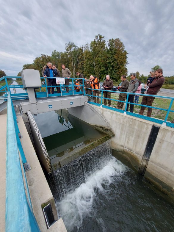 A víz útja – vízpótlási lehetőségek a Dráva síkon