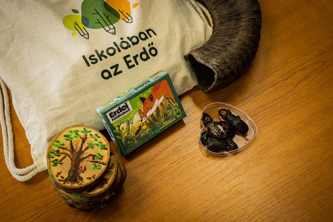 2026-ban is folytatódik az Iskolában az Erdő Program