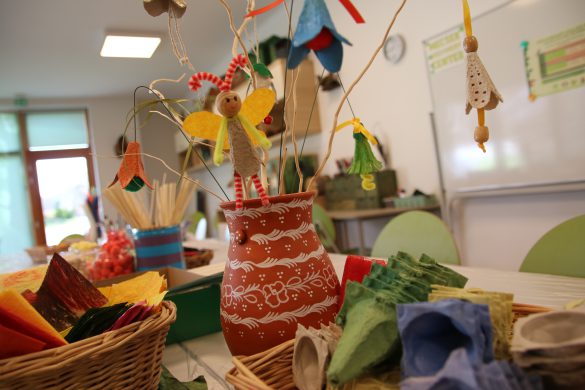 30 éves a Mókus Suli – Születésnapi családi nap a Mecsek Discovery Centerben