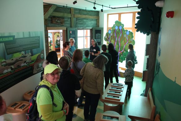 30 éves a Mókus Suli – Születésnapi családi nap a Mecsek Discovery Centerben