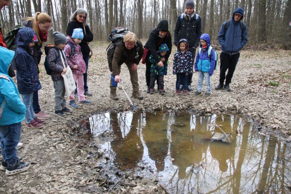 30 éves a Mókus Suli – Születésnapi családi nap a Mecsek Discovery Centerben