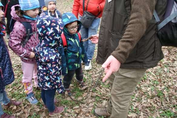 30 éves a Mókus Suli – Születésnapi családi nap a Mecsek Discovery Centerben