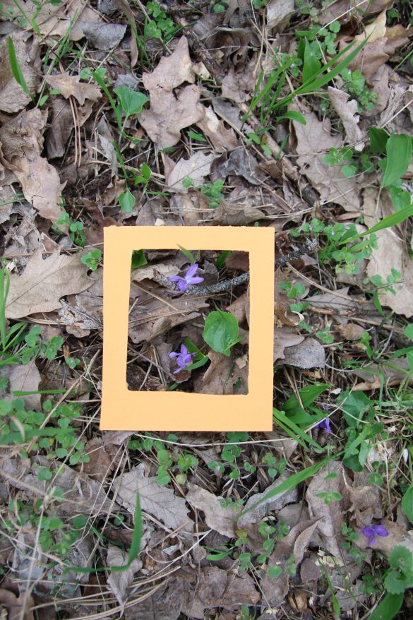 30 éves a Mókus Suli – Születésnapi családi nap a Mecsek Discovery Centerben