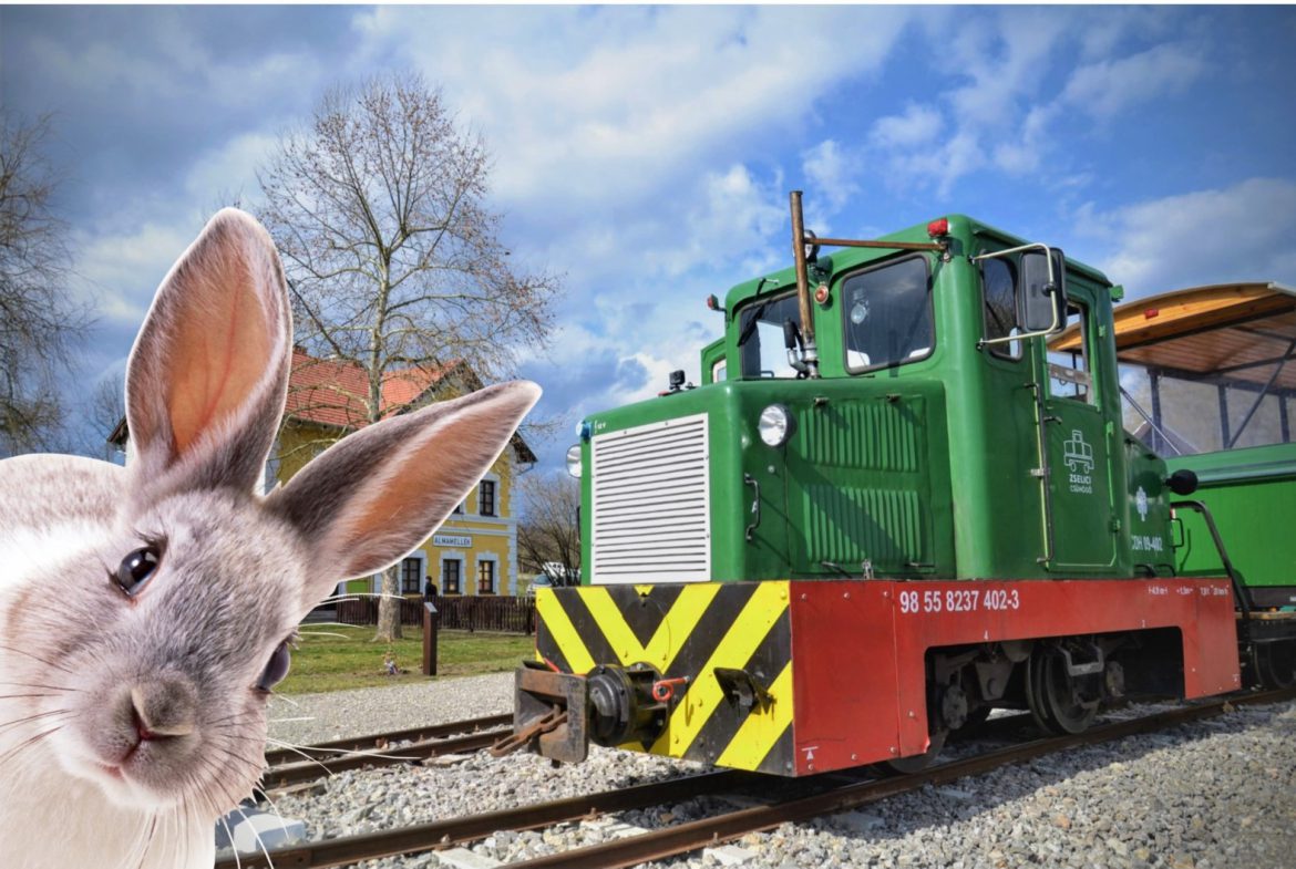 Húsvéti kincskeresés a Zselici Csühögővel