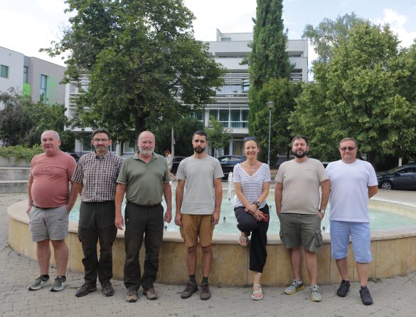 A Mecsekerdő kollégái a közterületi fák védelmében