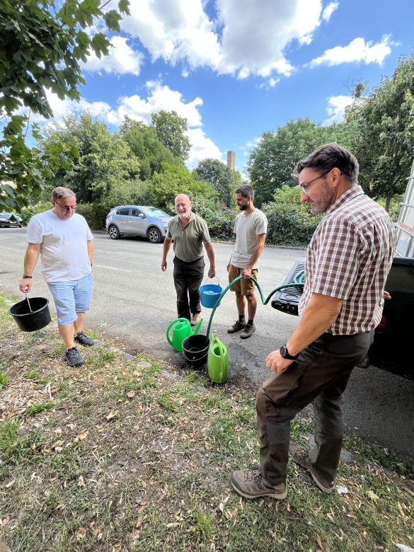 A Mecsekerdő kollégái a közterületi fák védelmében