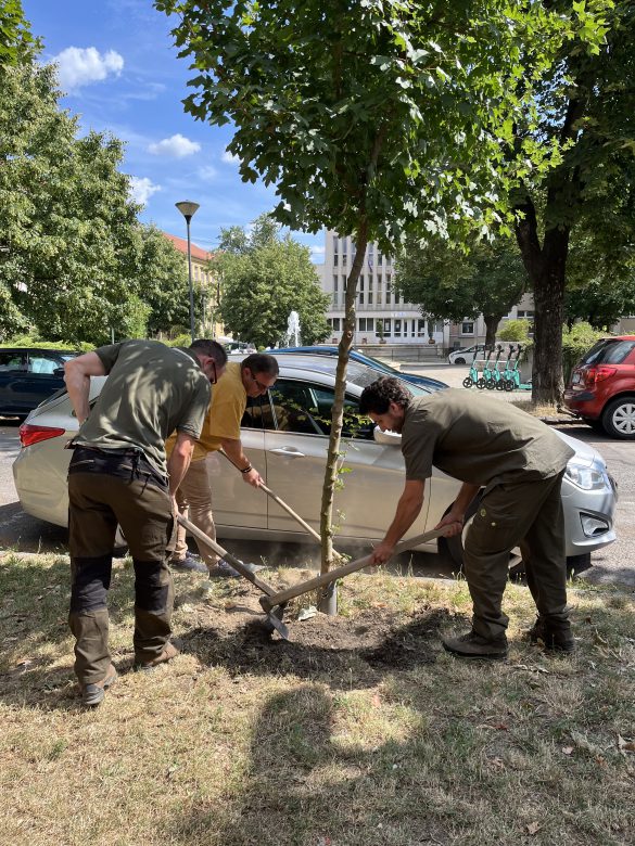Közösségi faöntözés a Köztársaság téren