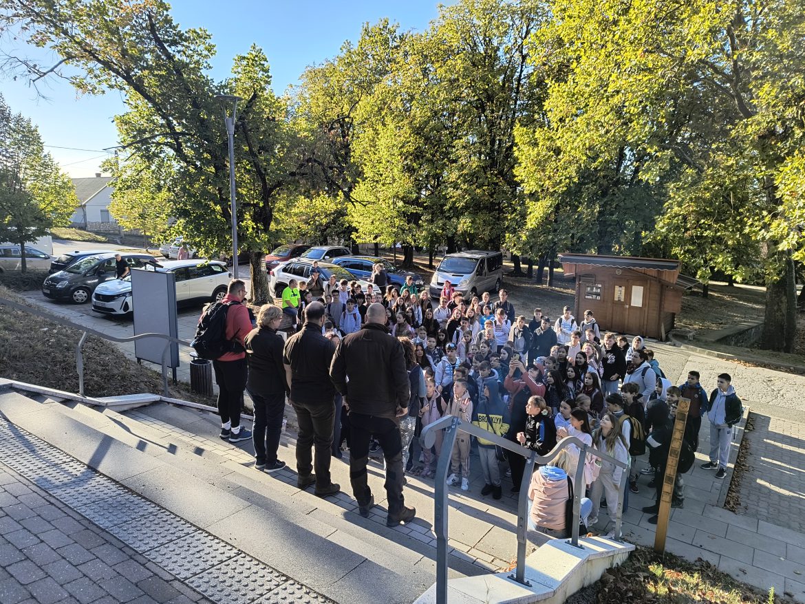 Túrakihívás a Csodabogyó-tanösvényen